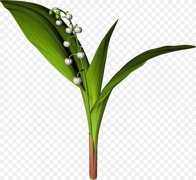 ��ɫ������Ҷ-������