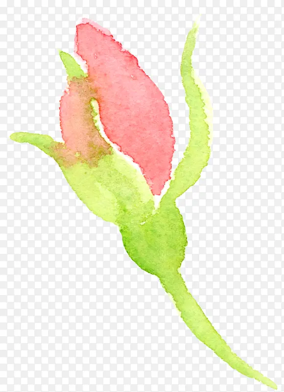 ˮ�ʻ���-������