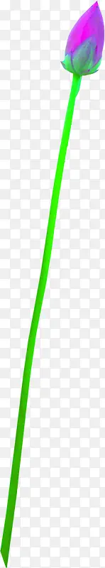 ���������ز�-������