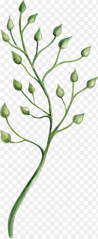 �ֻ���ɫֲ�ﻨ��-������