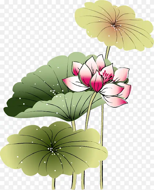 �ŷ�ˮ�ʻ�������-������