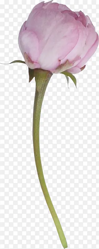 ������ɫ������ɫ����-������