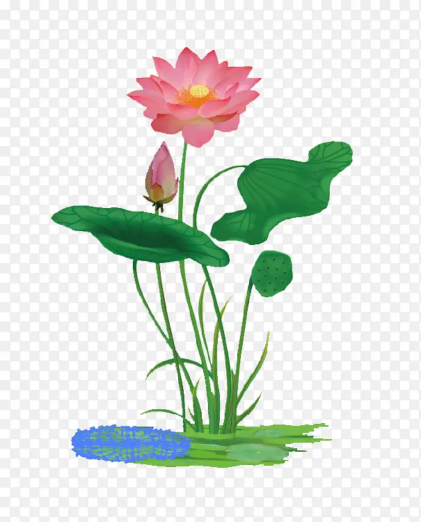 ��-�ɻ�ˮ�ʺɻ���-������