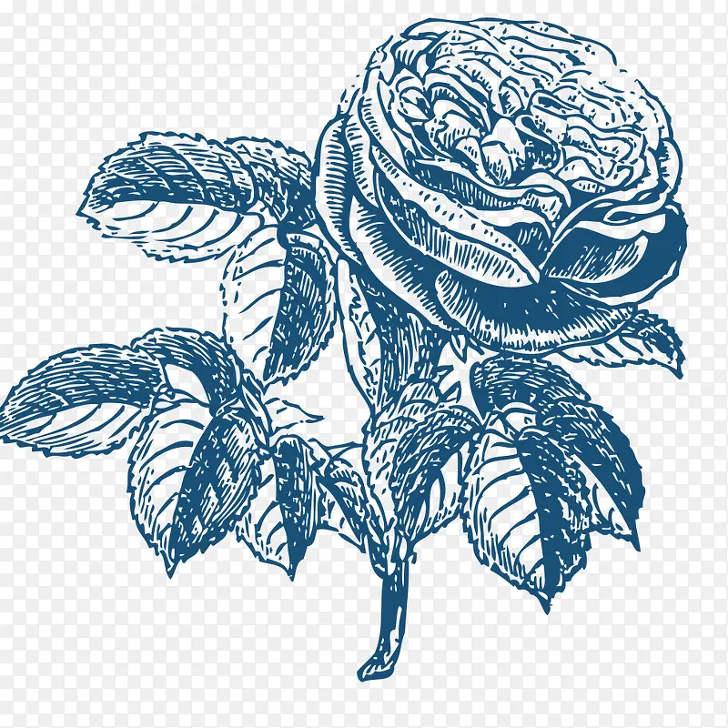 ���ֻ�-������