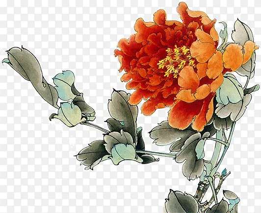 ���ջ���ɫĵ��-������