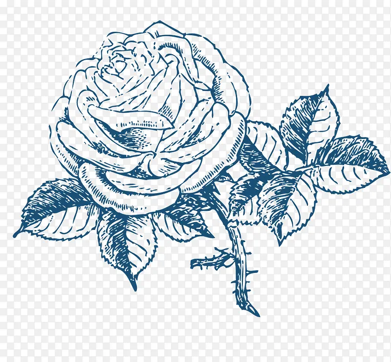 �ֻ滨-������