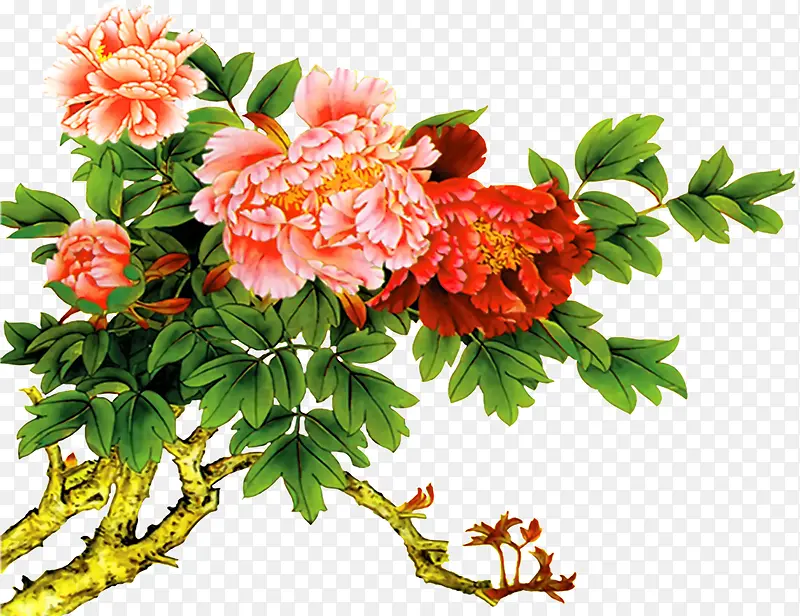 ˮ���ֻ�ϳ�ĵ����-������