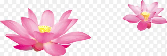 ��ɫĵ����ˮ��ĵ����-������