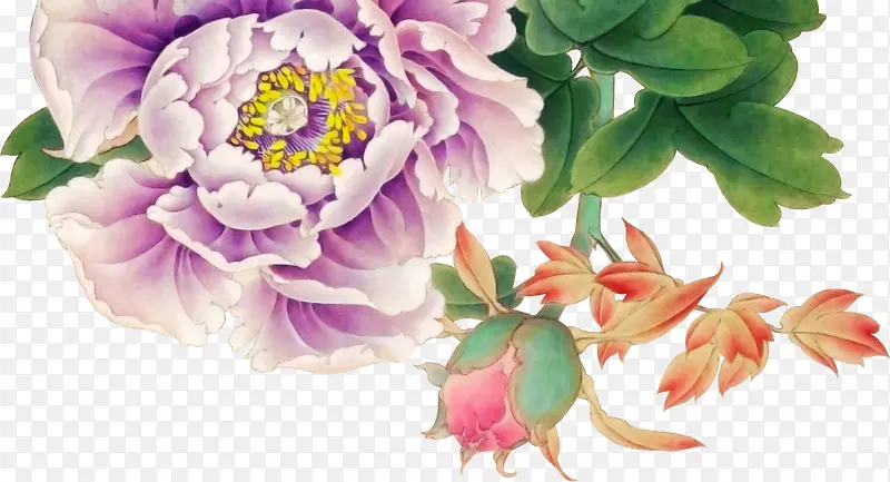 �ɰ������ֻ�ĵ��-������