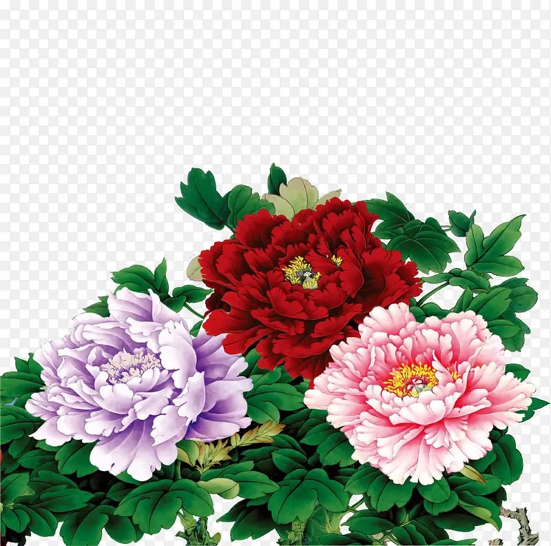 �ֻ��ɫ����ĵ��-������