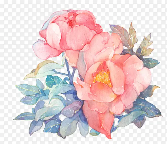 ˮ�ʻ���ĵ����-������