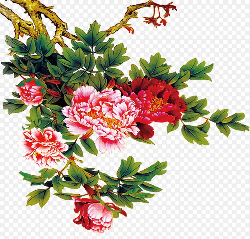 ĵ�����ز�-������