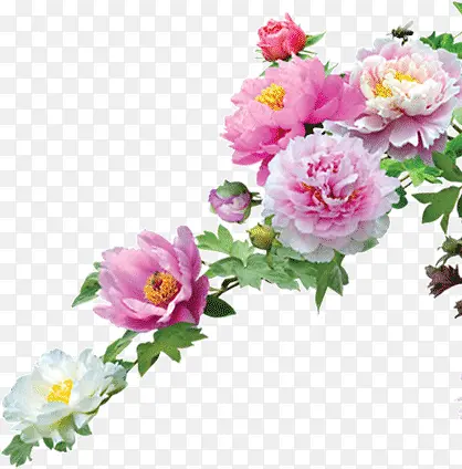 ĵ������-������