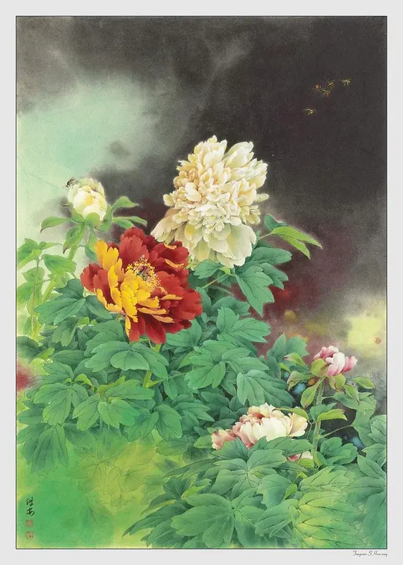 �й����ɫĵ����-������