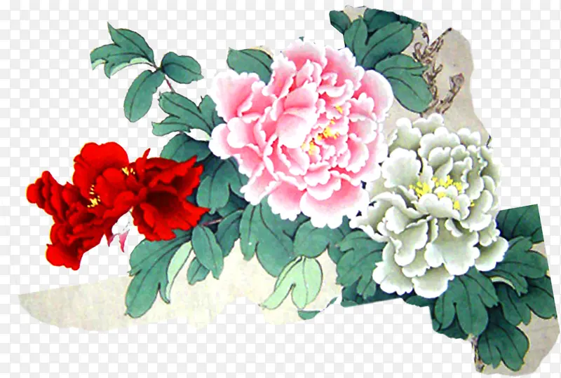 �ֻ�ˮ��ĵ��������-������