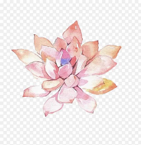 �ֻ滨���ֻ�ĵ����-������