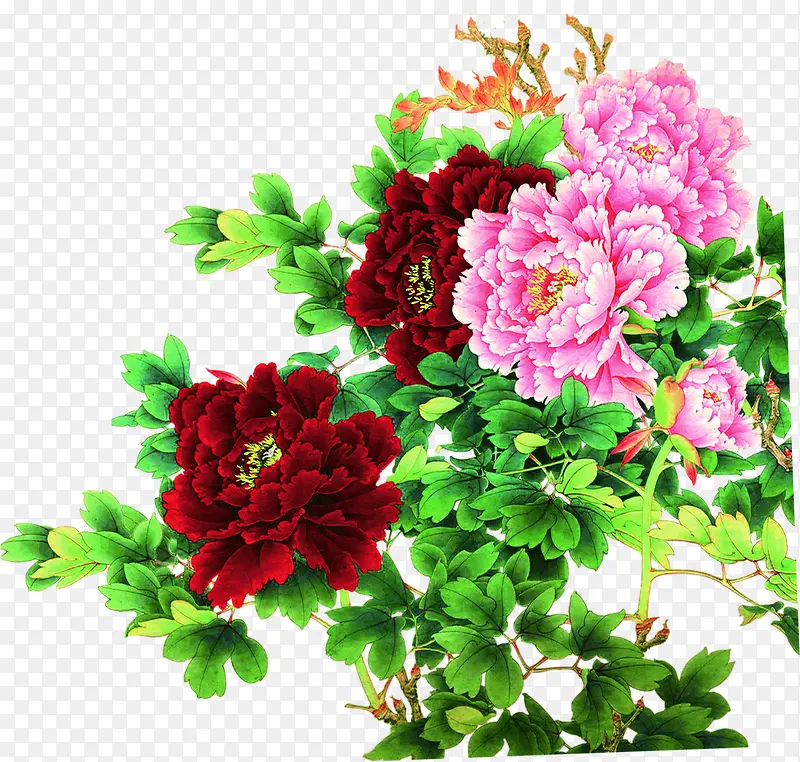 ĵ���������һݴ���-������