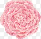 ��ɫĵ����ˮ�ʻ���-������