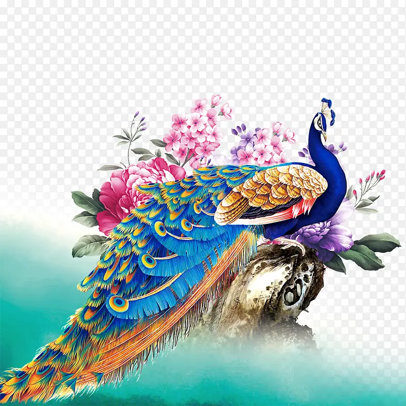 ��ɫ��ȸ-������