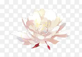 ˮ��ĵ����ֲ���ز�-������