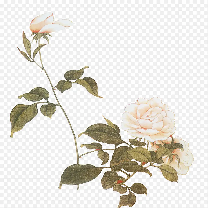 �ֻ�ˮ��ĵ����-������