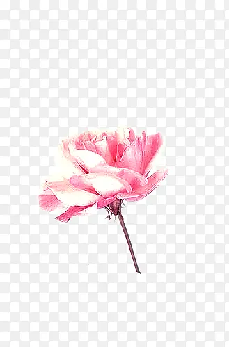 �ֻ�ĵ����-������