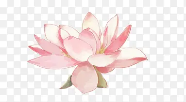 ĵ���� ˮ��ĵ����-������