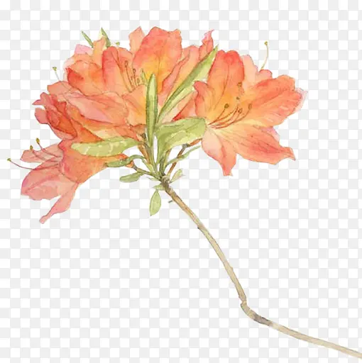 ˮ��ĵ����-������