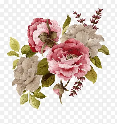 ˮ�ʻ�-������