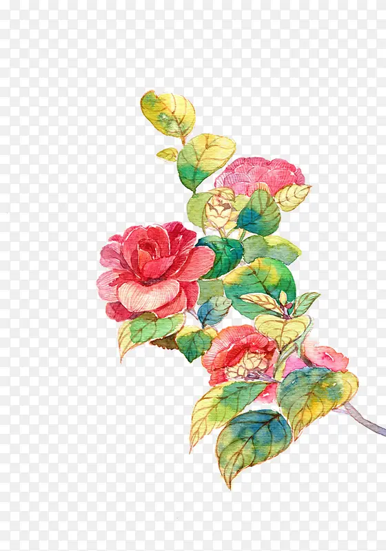 ĵ����ˮī�����-������