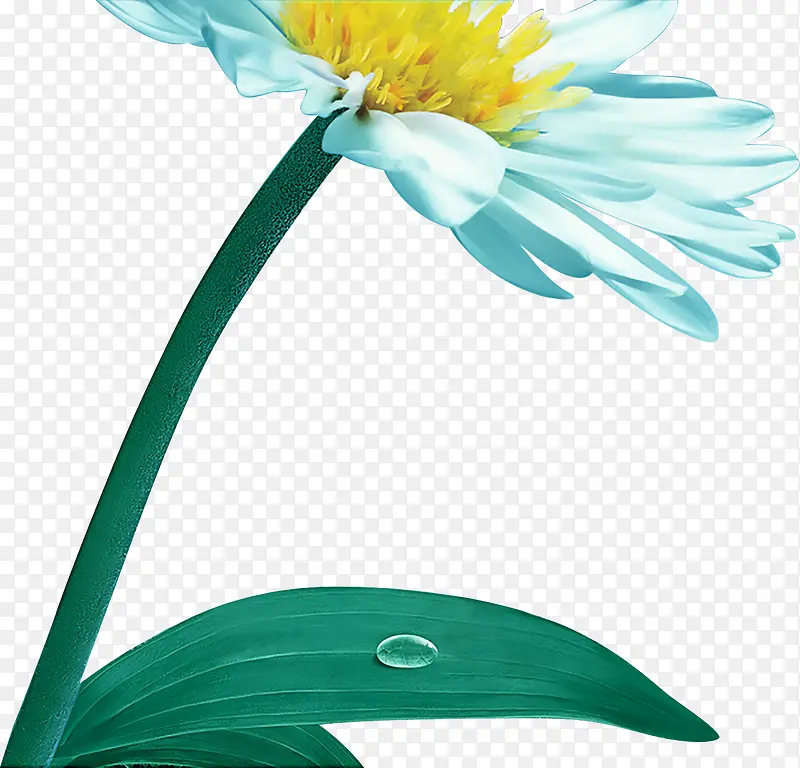 ��ɫĵ��������-������