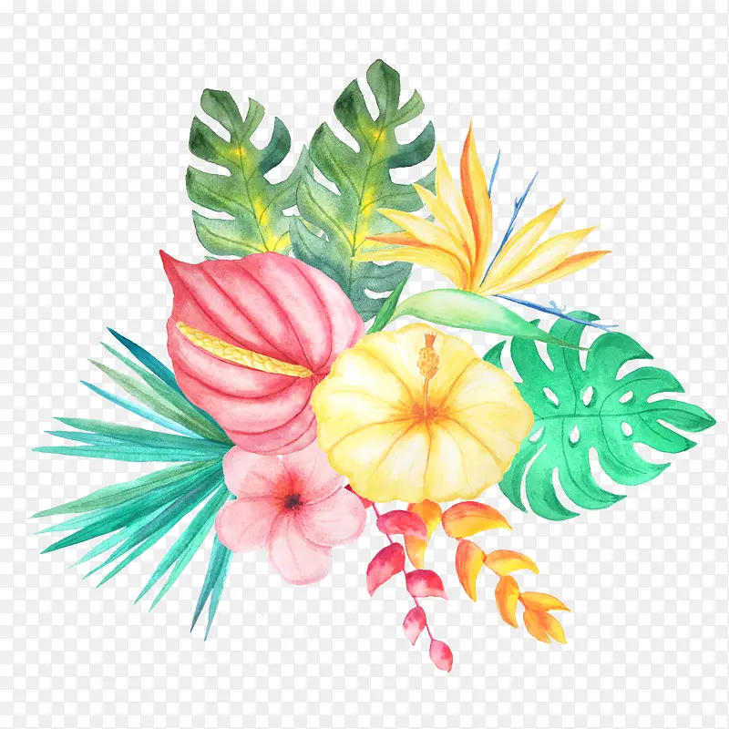 ����ֻ滨��-������