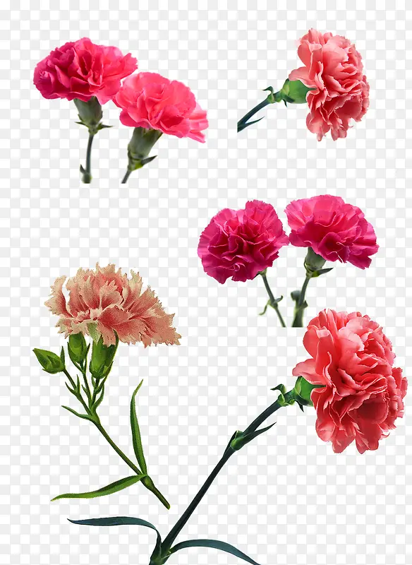 ����ܰ����-������