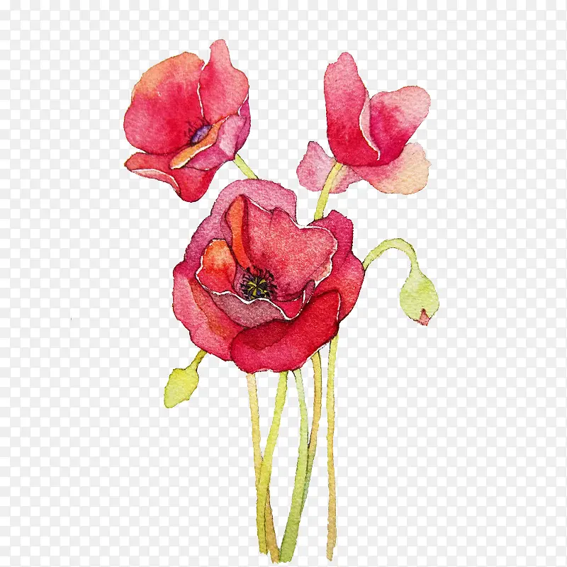 �ֻ�ֲ�ﻨ��-������