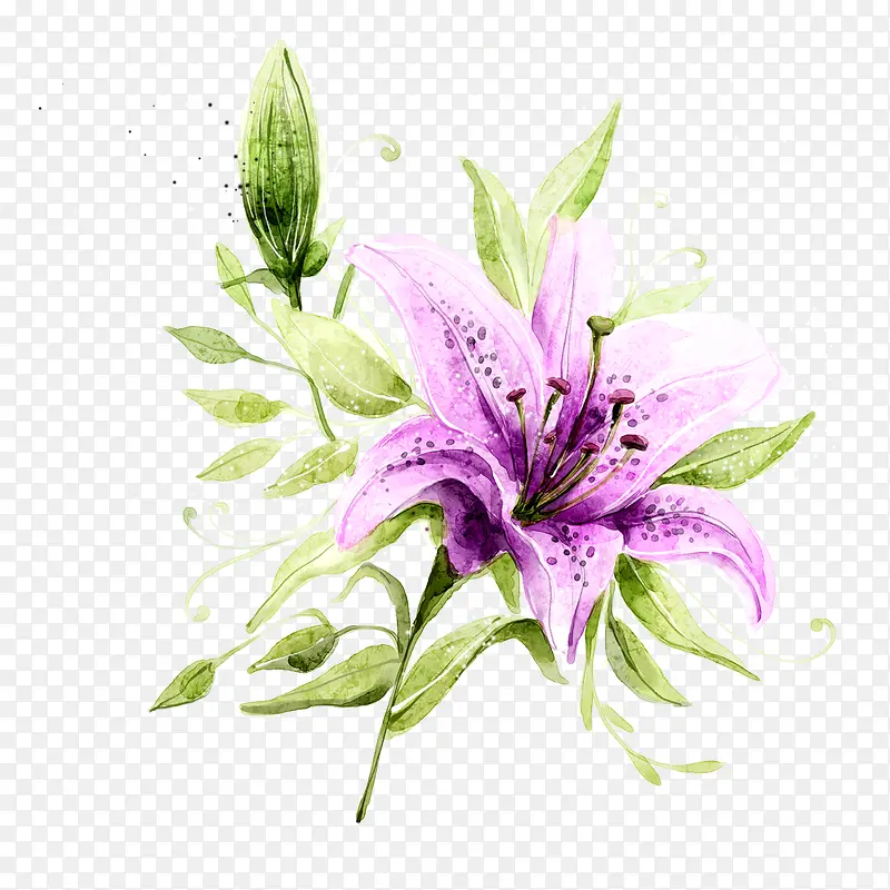 �ֻ�ֲ�ﻨ��-������