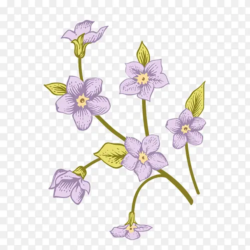 �ֻ�ֲ�ﻨ��-������