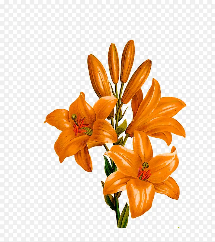 �ֻ�ٺϻ�-������