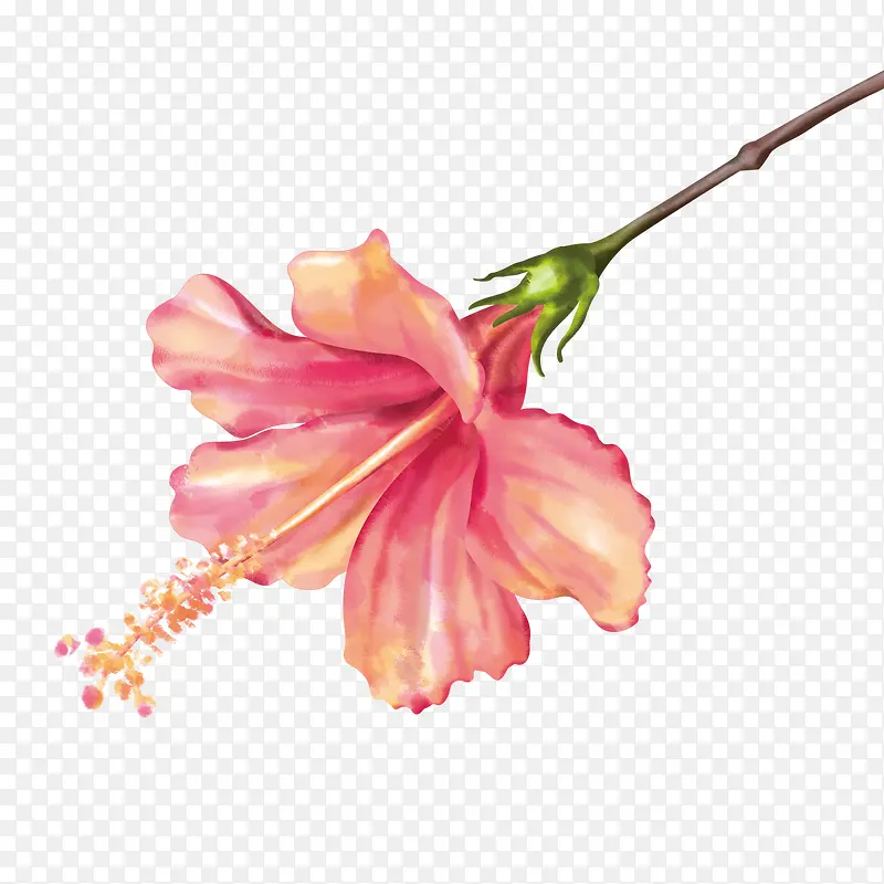 �ֻ�ֲ�ﻨ��-������