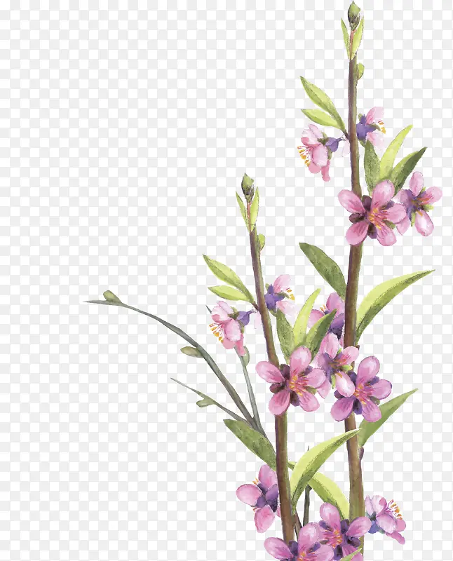 �ֻ�ֲ�ﻨ��-������