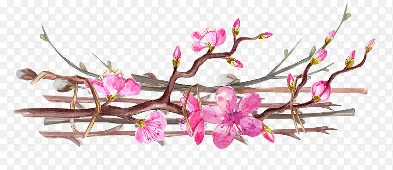 �ֻ�ֲ�ﻨ��-������