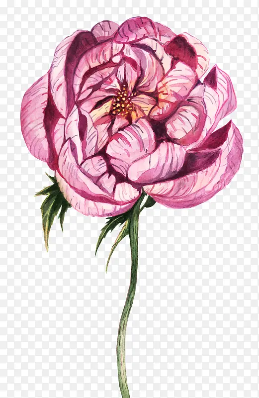 �ʻ滨��-������