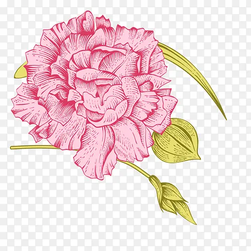 �ֻ�ֲ�ﻨ��-������