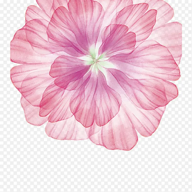 ��ͨ�ֻ汳��װ�λ���-������