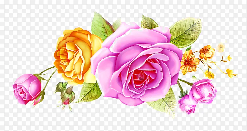 �ֻ滨��װ��-������