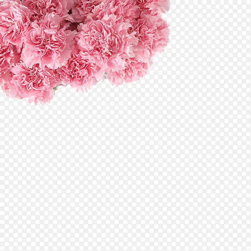 ��ɫ�Ļ���-������