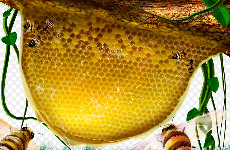 ��ͨ�۷����-������