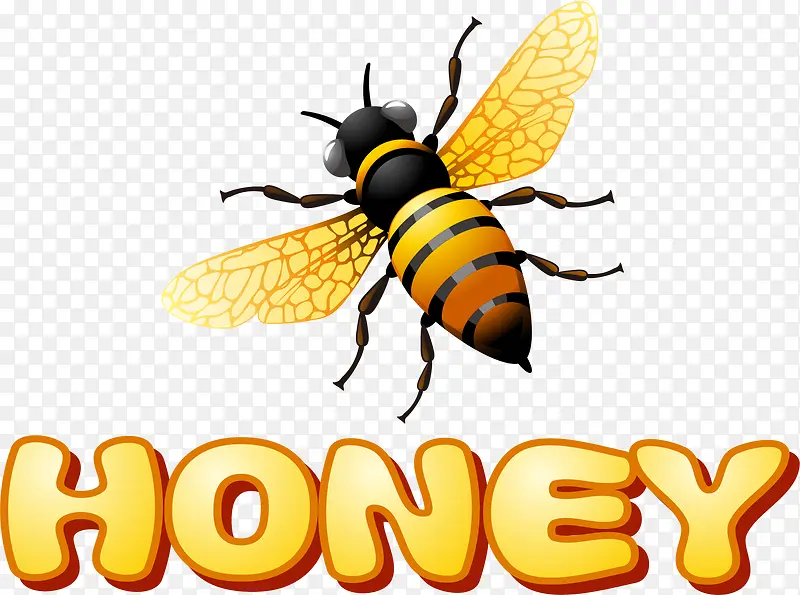 �ɰ��۷�-������