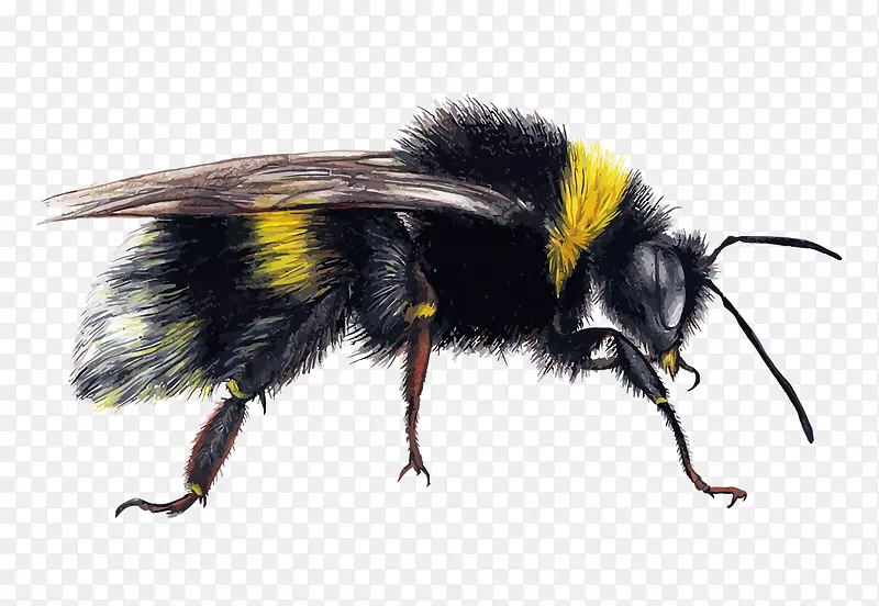 ʸ���۷�-������