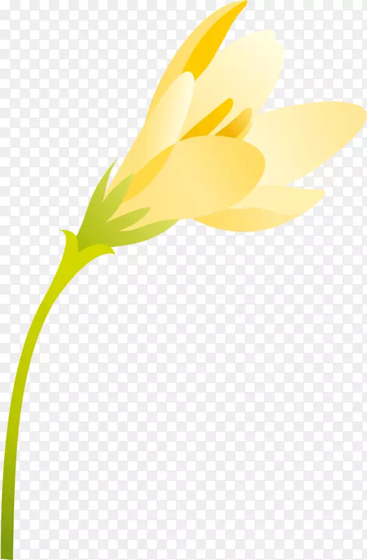 ����ֲ����տƻ��꿪��ֲ��-����-������