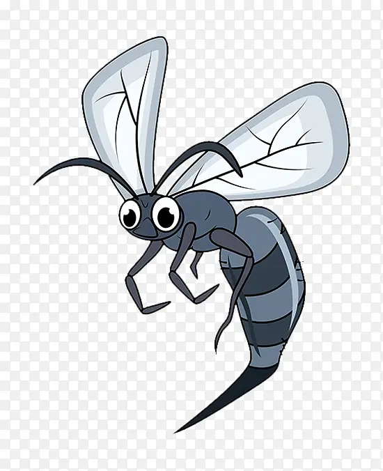 ��ͨ�̷�ͼƬ-������